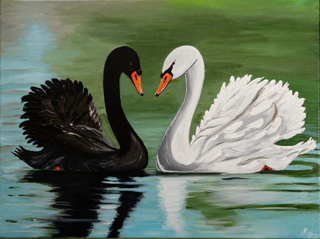 In Love — a black swan and a white swan facing each other on a green lake