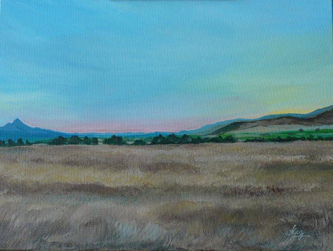 The Open Country — golden grassland stretching to distant mountains at dusk